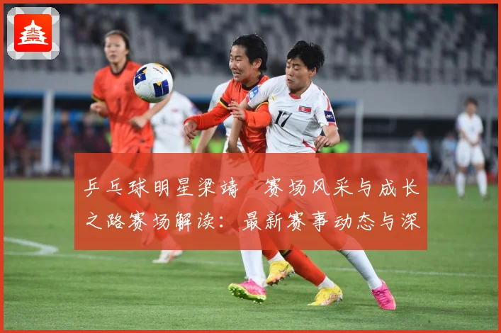 乒乓球明星梁靖崑赛场风采与成长之路赛场解读：最新赛事动态与深度分析